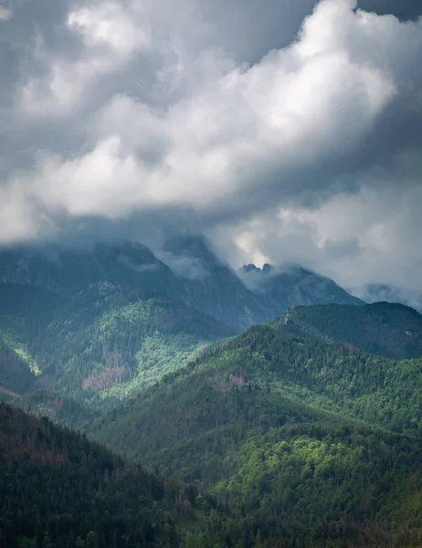 Gunung Giewont Berawan Dan Hutan Hijau Musim Panas Polandia — Stok Foto