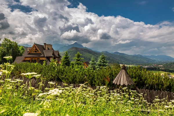 Holzhaus Und Tatra Sommer Europa — Stockfoto