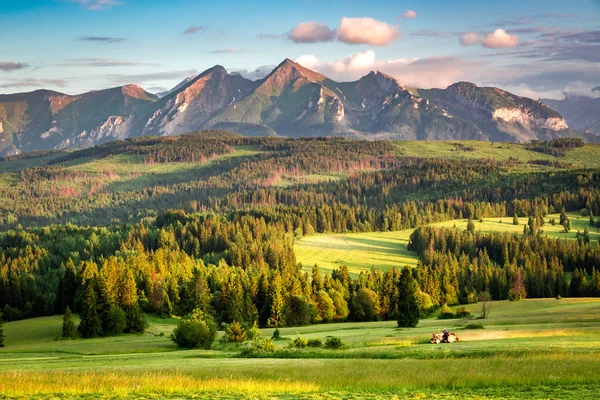 Solnedgång Vid Belianske Tatra Bergen Sommaren Polen — Stockfoto