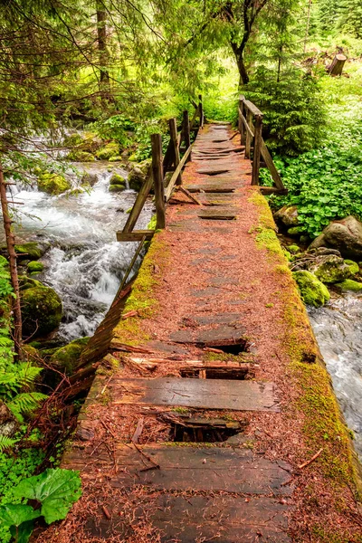 Broken Old Wooden Bridge Stream Tatras — Stock Photo, Image