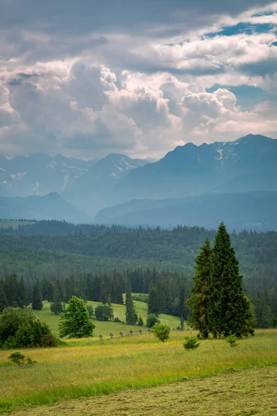 Bewolkt Tatra Gebergte Bij Zonsondergang Zomer Polen — Stockfoto