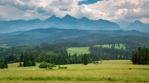 Grön Äng Och Tatrabergen Sommar Polen — Stockfoto