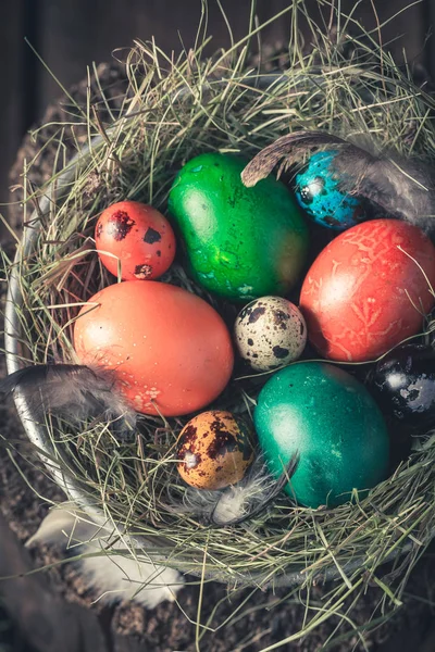 Closeup Easter Eggs Feathers Hay — Stock Photo, Image