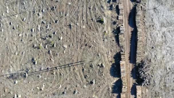 Vista aérea de la deforestación. Bosque retirado para hacer madera . — Vídeos de Stock