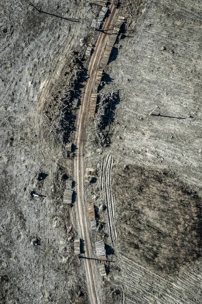 Repülő felett borzalmas erdőirtás, elpusztult erdő betakarítása, Európa — Stock Fotó