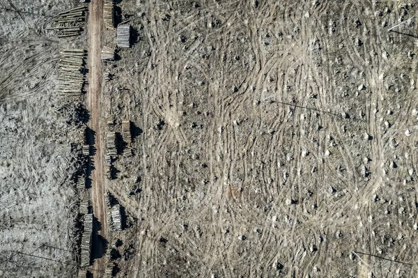 Vista aérea da horrenda floresta de desmatamento para colheita, Europa — Fotografia de Stock