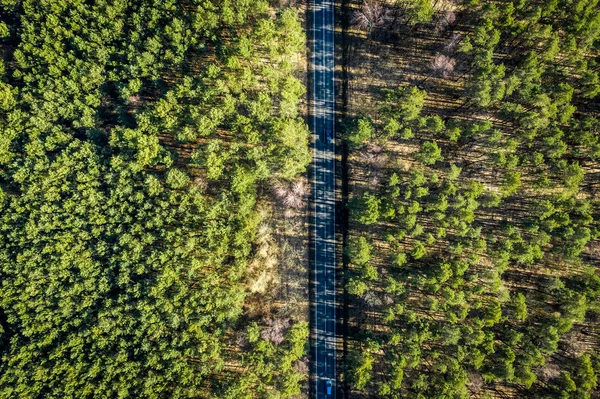 Letecký pohled na úžasnou lesa s vícebarevné stromy, Evropa — Stock fotografie