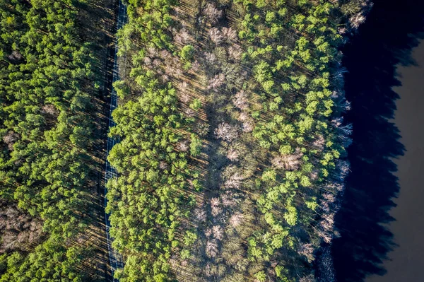 Flying above amazing multicolored forest with road, Europe — Stock Photo, Image