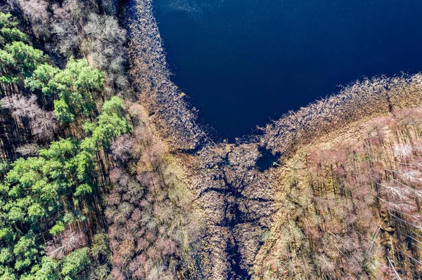 Flying above beautiful lake and forest, Poland — Stock Photo, Image