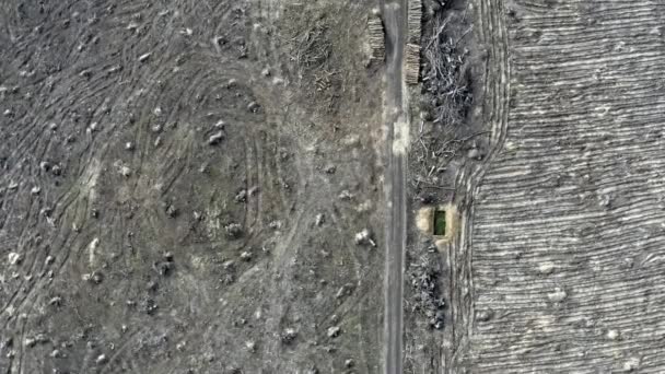 Лісозаготівля, лісозаготівля, знищення навколишнього середовища. Вид з повітря на дрон — стокове відео