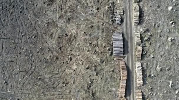风暴后森林森林砍伐的空中无人机观 — 图库视频影像