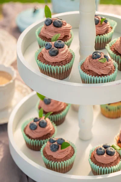 Brown cupcake with fresh blueberries and chocolate cream — Stock Photo, Image