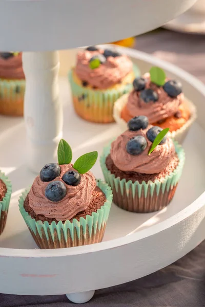 Delicious chocolate muffin in sunny summer garden — Stock Photo, Image
