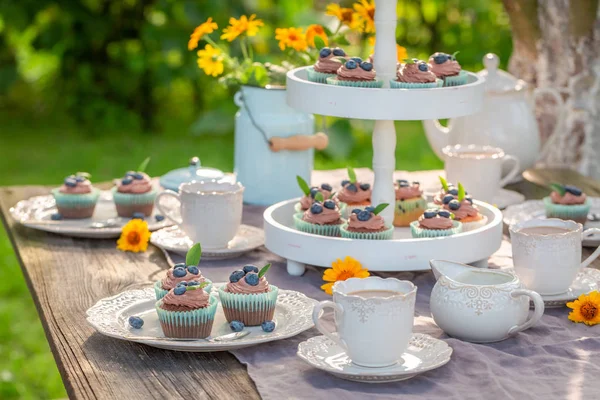 Hjemmelaget brun muffins i solrik sommerhage – stockfoto