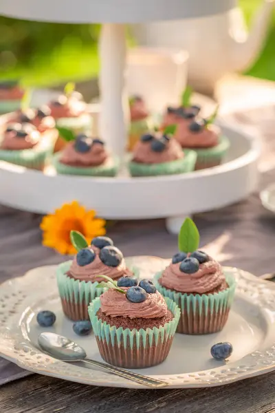 Tasty brown cupcake made of cream and fresh berries — Stock Photo, Image