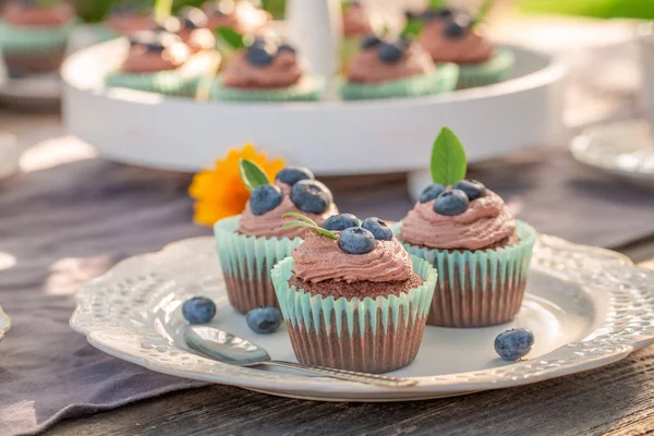 Sweet brown cupcake made of cream and fresh berries — Stock Photo, Image
