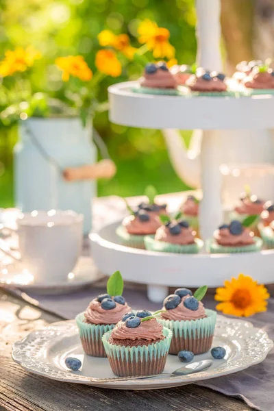 Delicious brown cupcake in sunny summer garden — Stock Photo, Image
