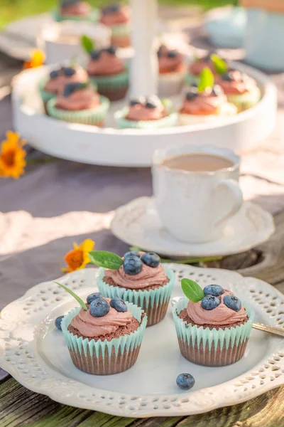 Sweet chocolate muffin served with coffee in garden — Stock Photo, Image
