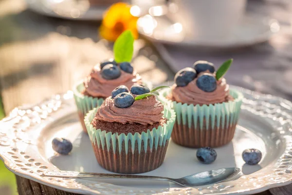 Closeup of chocolate muffin with fresh blueberries and cream — Stock Photo, Image
