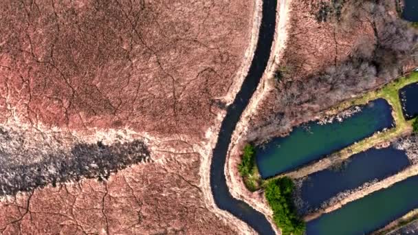 Pântanos estranhos e pequeno rio, vista aérea — Vídeo de Stock