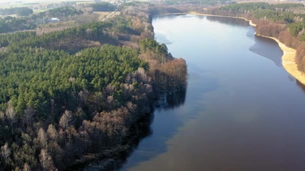 Forest lake w słoneczny dzień, widok z dronów — Wideo stockowe
