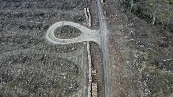 Αεροφωτογραφία της αποψίλωσης των δασών, καταγραφή, την καταστροφή του περιβάλλοντος — Αρχείο Βίντεο