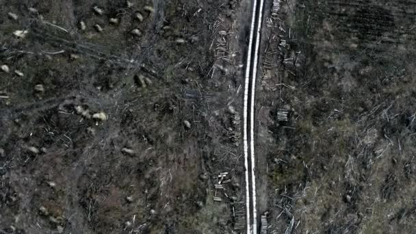 Vista horrível de uma estrada branca no meio de uma floresta destruída após um furacão — Vídeo de Stock