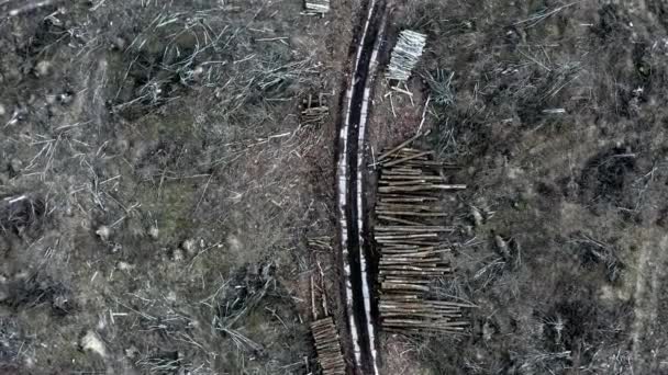 Ormansızlaşma bir kasırga sonra bir orman, bir dron görüntülemek — Stok video