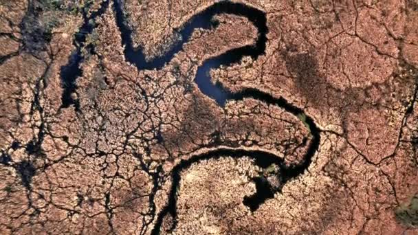 Rivière sinueuse bleue entre marécages bruns, vue aérienne — Video