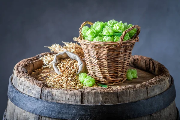 Taze hop ve malt eski ahşap varil üzerinde — Stok fotoğraf