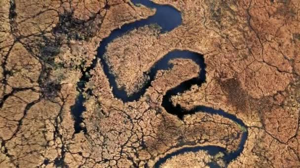 Small river and brown swamps, aerial view — Stock Video