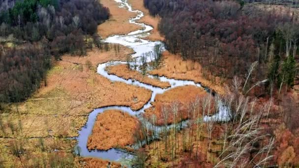 Небольшая извилистая река между коричневыми болотами, вид с воздуха — стоковое видео