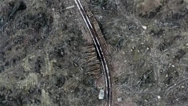 Strada bianca nel mezzo di una foresta distrutta dopo un uragano, vista aerea — Video Stock