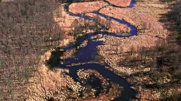 Pequeño río azul y pantanos marrones, vista aérea — Vídeo de stock