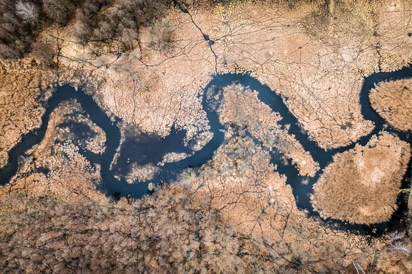 Volando sobre pequeños pantanos fluviales y marrones —  Fotos de Stock