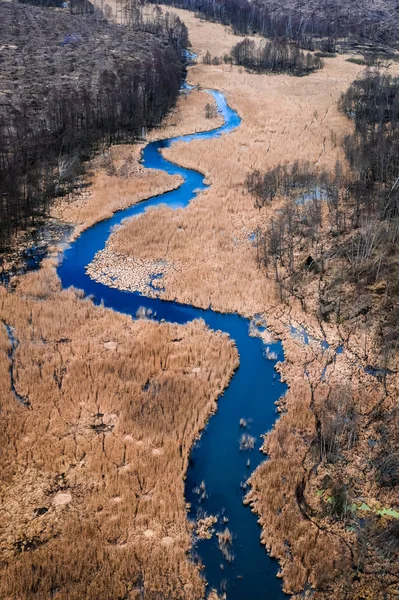Flyger över slingrande flod och bruna kärr — Stockfoto