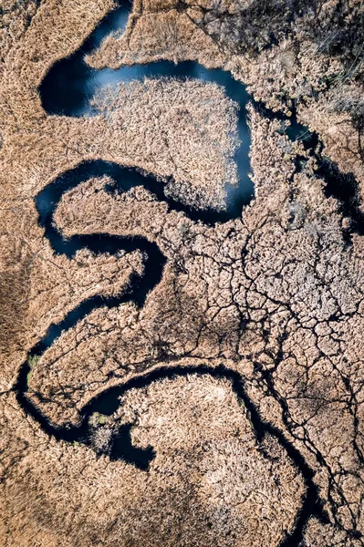 Río azul y pantanos marrones, vista aérea —  Fotos de Stock