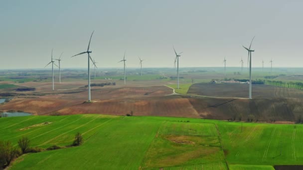 Большая группа ветряных турбин на весеннем поле в солнечный день — стоковое видео