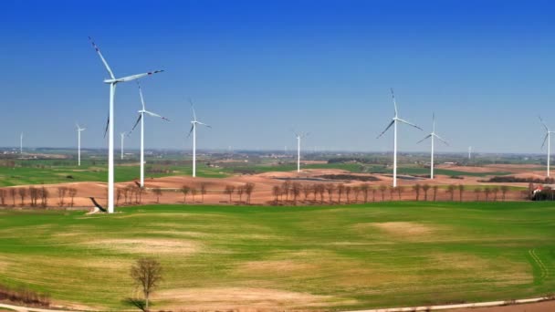 Farm of white wind turbines on spring field — Stock Video