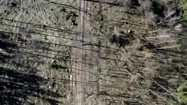 Vliegen boven schokkend ontbossing, vernietiging van het milieu — Stockvideo