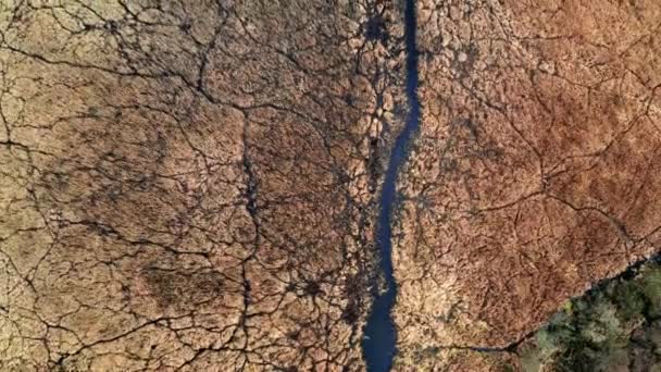 Маленькие речные и коричневые болота, вид с воздуха, Польша — стоковое видео