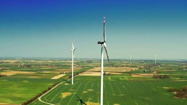 Des éoliennes brûlées sur un champ vert — Video