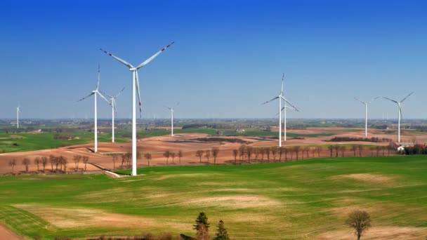 Windräder auf dem Feld am See im Frühling — Stockvideo