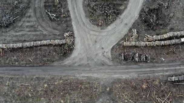 Luchtfoto van ontbossing, vernietiging van het milieu, Polen — Stockvideo