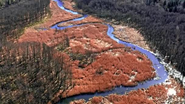 Río sinuoso y pantanos marrones, vista aérea, Polonia — Vídeo de stock