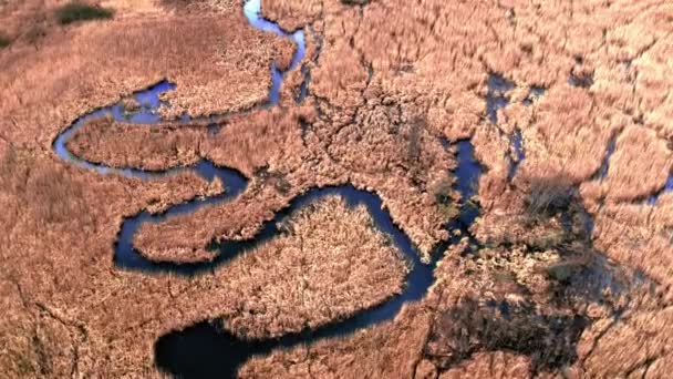 Blauwe kronkelende rivier tussen bruine moerassen, lucht mening, Polen — Stockvideo