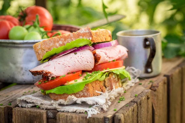 Serada marul, domates ve jambon ile taze sandviç — Stok fotoğraf