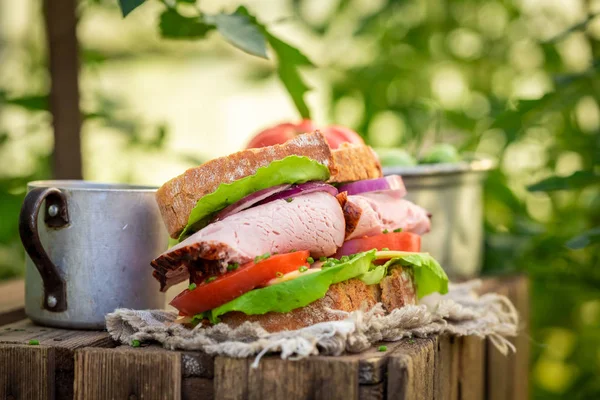 Delicious sandwich with tomato, ham and cheese in greenhouse — Stock Photo, Image