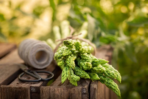 Close-up van groene asperges op oude houten doos — Stockfoto