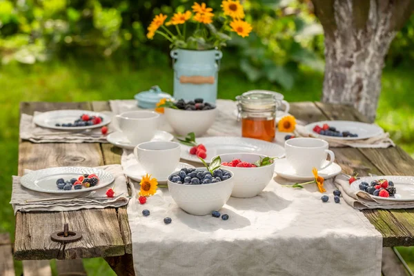 Disfruta de tus panqueques con arándanos frescos y miel — Foto de Stock